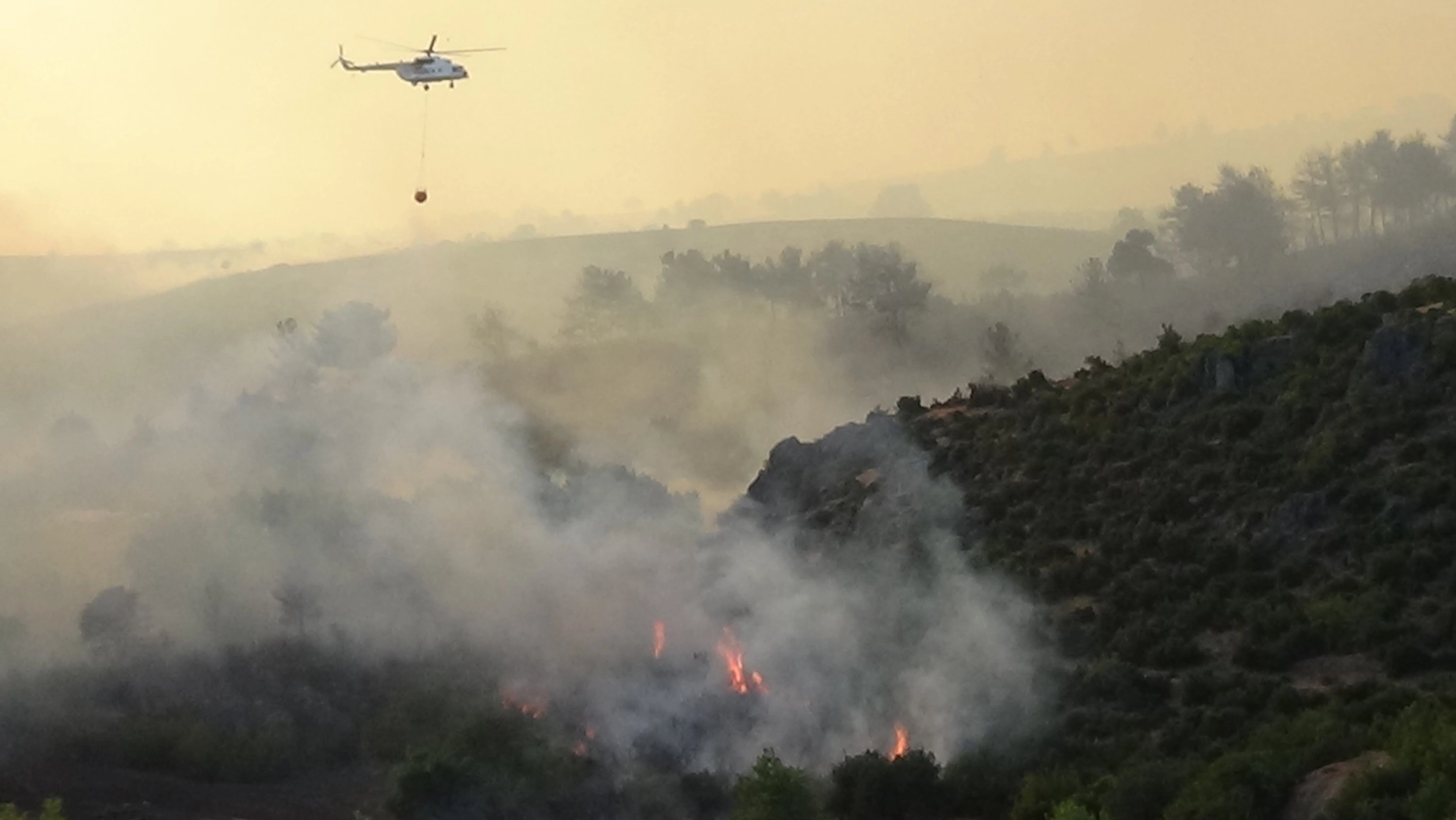 Wildfires Rage Across Tekirdag and Canakkale: Aerial Efforts Intensify