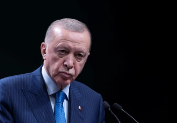 Behind the Phone Call: How Erdogan and Austria's Leader Navigated Ukraine and Gaza Crises