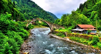article_photos