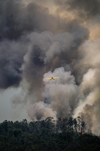 aerial firefighting