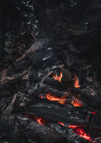 wildfire causes