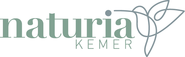 Kuruluş İnşaat