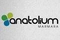 Maya Holding - Yılsan Holding
