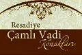 Ney Yapı