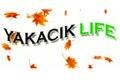 Tek Yapı İnşaat