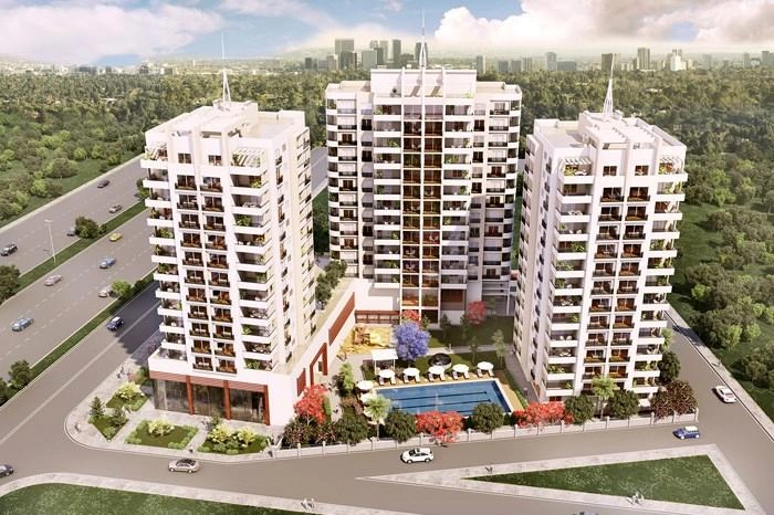 projects_photos