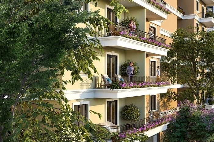projects_photos