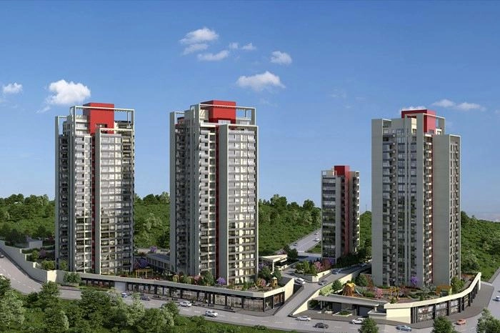 projects_photos