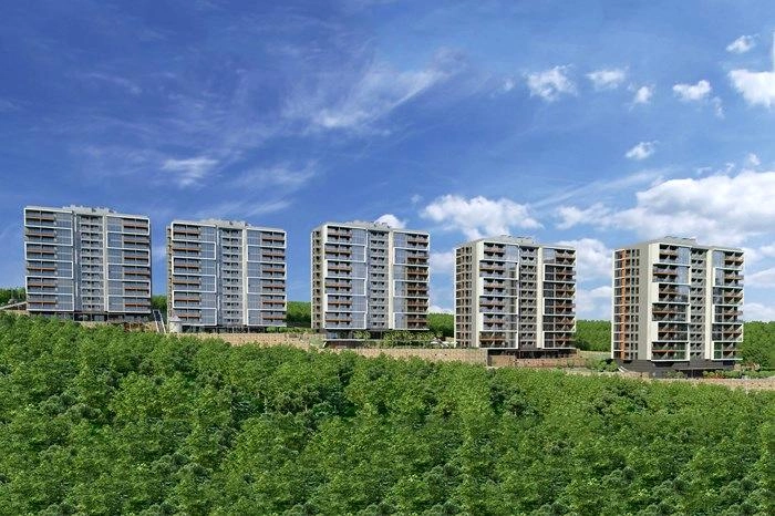 projects_photos