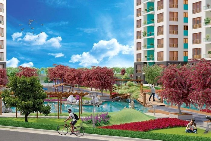 projects_photos