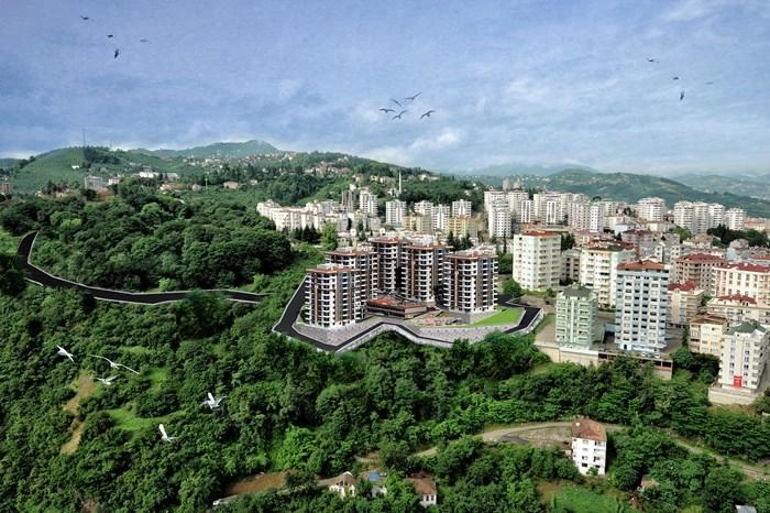 projects_photos