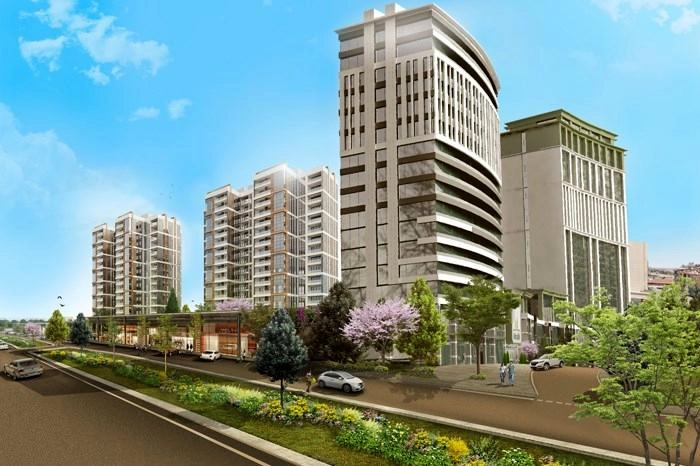 projects_photos
