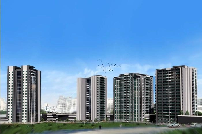 projects_photos