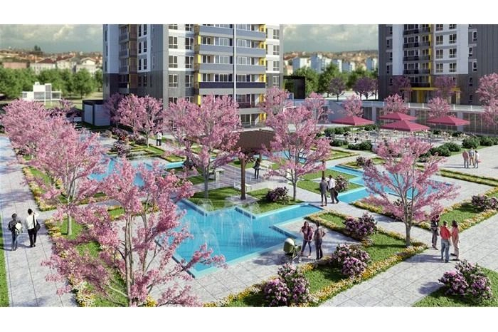 projects_photos