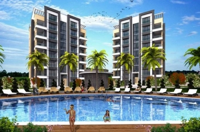 project_photos
