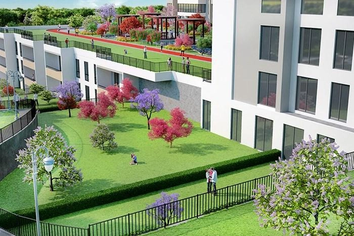 projects_photos