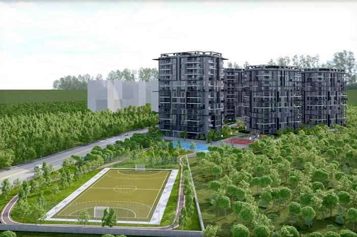 projects_photos