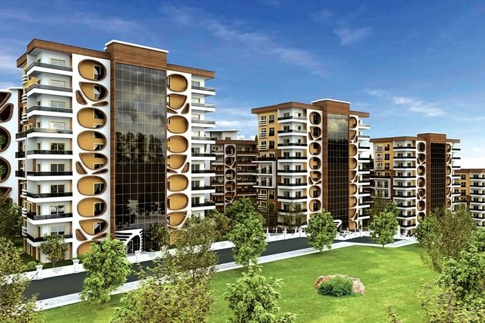 projects_photos