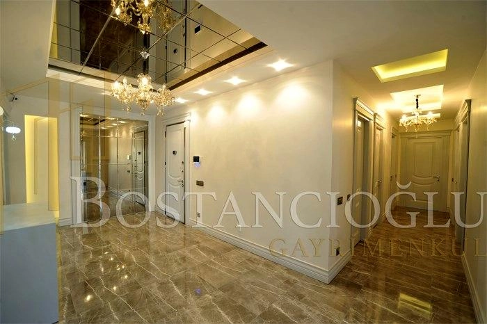 projects_photos