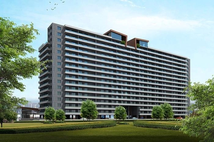 projects_photos