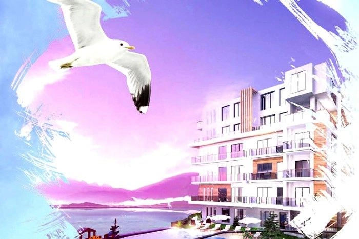 projects_photos
