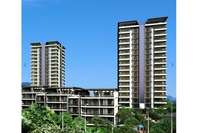 projects_photos