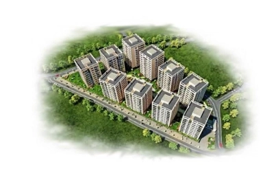 project_photos