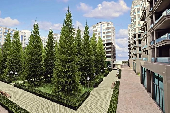 projects_photos