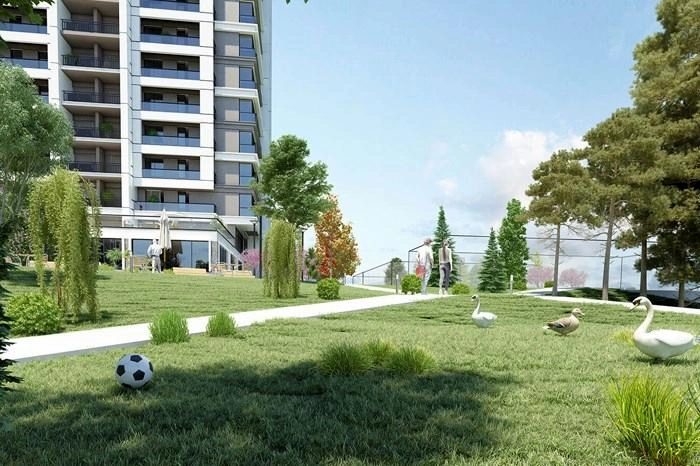 projects_photos