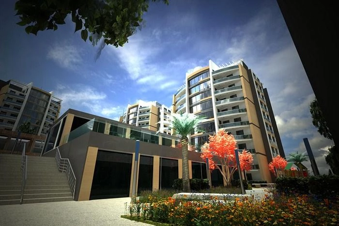 projects_photos