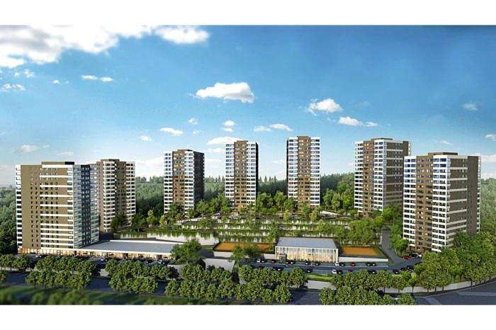 projects_photos