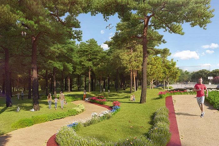 projects_photos