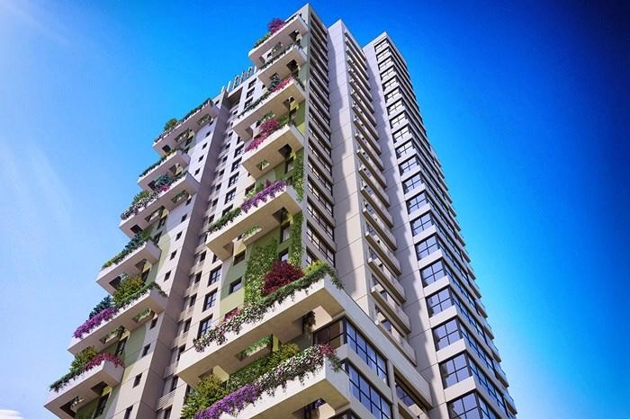 projects_photos