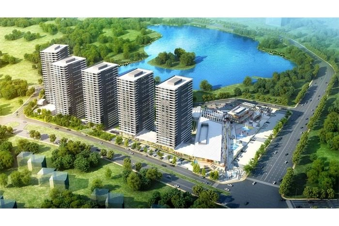 projects_photos