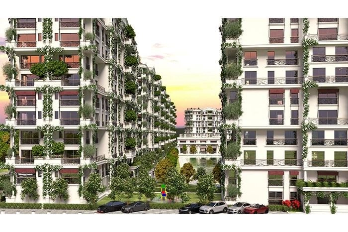 projects_photos