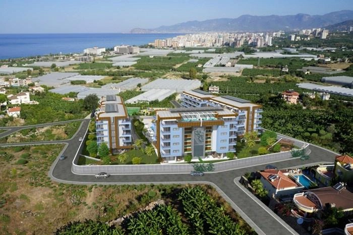 projects_photos