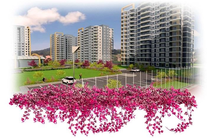 projects_photos