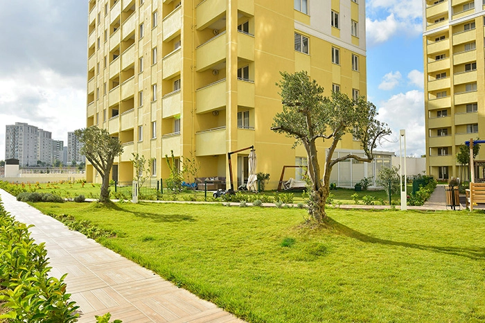 projects_photos