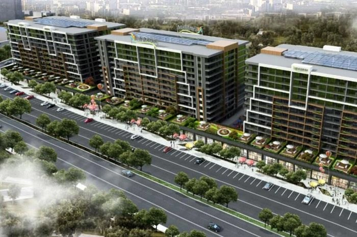 projects_photos