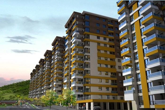 projects_photos