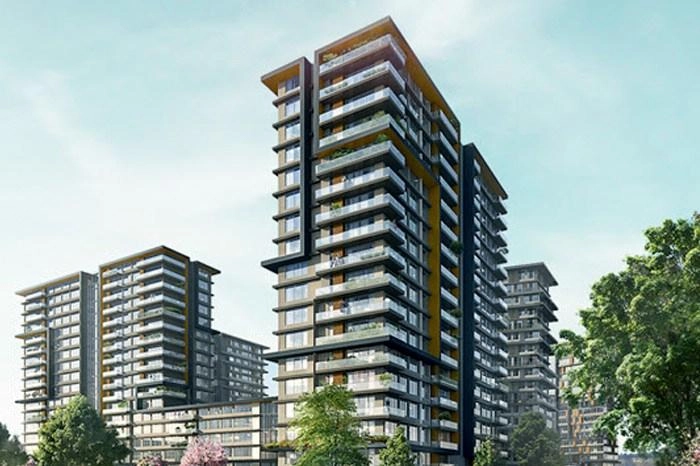 projects_photos