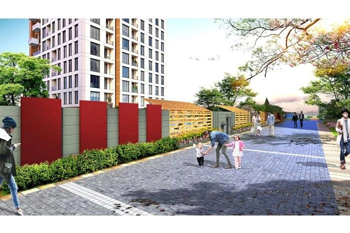 projects_photos