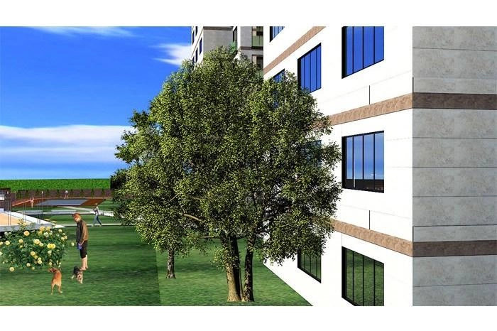projects_photos