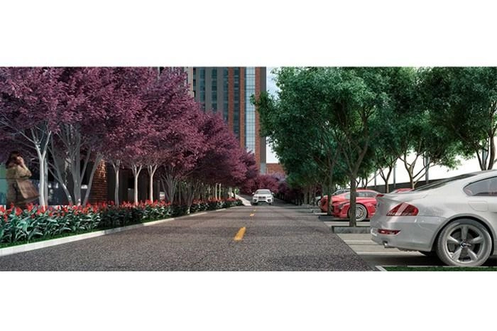 projects_photos