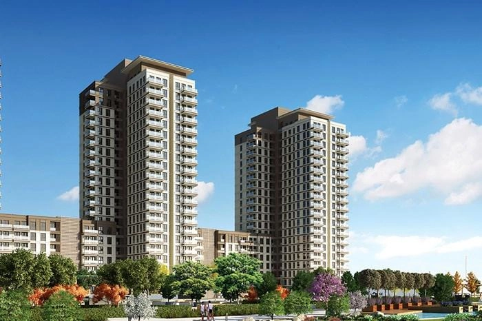 projects_photos