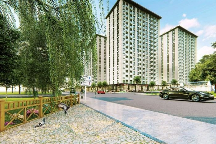 projects_photos
