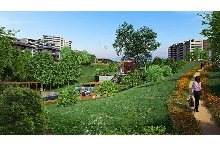 projects_photos