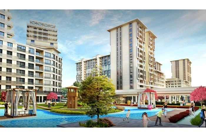 projects_photos