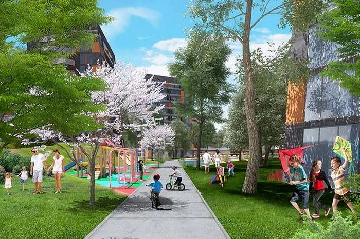 projects_photos