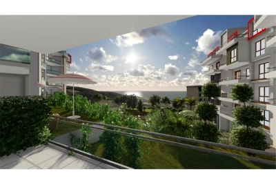 project_photos